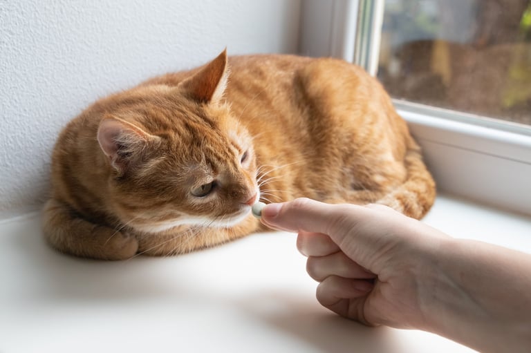 Suplemento para gatos